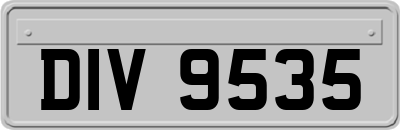 DIV9535