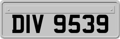 DIV9539