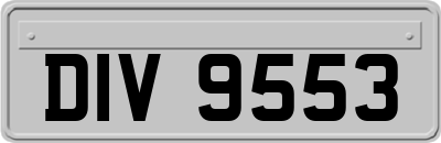 DIV9553