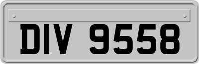 DIV9558