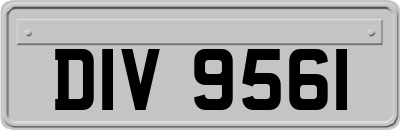 DIV9561