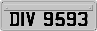 DIV9593
