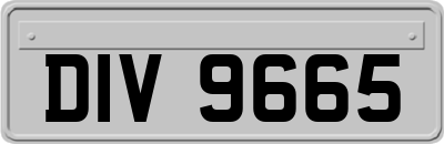 DIV9665