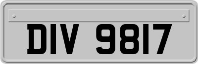 DIV9817