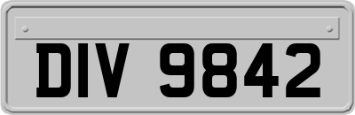 DIV9842