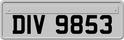 DIV9853