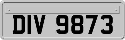DIV9873