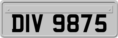 DIV9875
