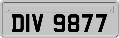 DIV9877