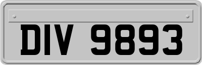 DIV9893
