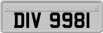 DIV9981