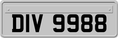 DIV9988