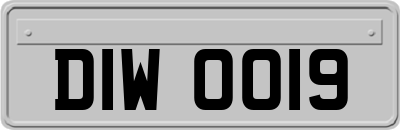 DIW0019