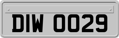 DIW0029