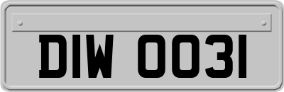 DIW0031