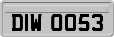 DIW0053