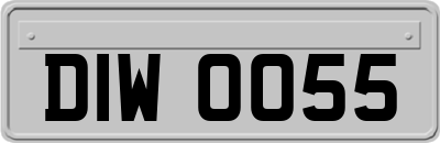 DIW0055