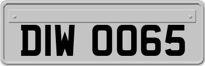 DIW0065