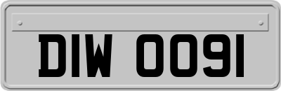 DIW0091