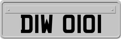 DIW0101
