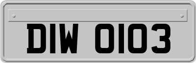 DIW0103