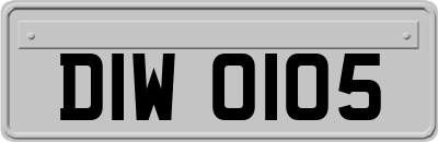 DIW0105