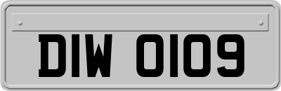 DIW0109