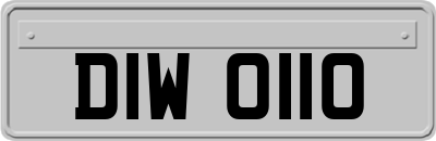 DIW0110