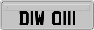 DIW0111