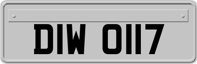 DIW0117