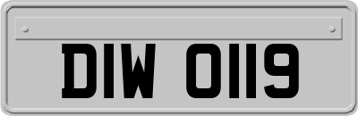 DIW0119
