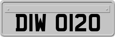 DIW0120