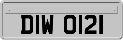 DIW0121