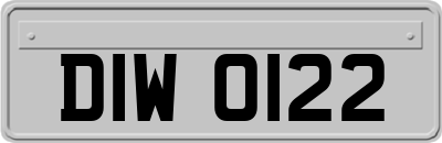 DIW0122