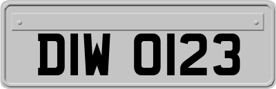 DIW0123