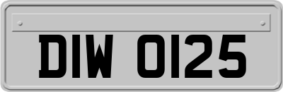 DIW0125