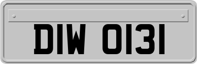 DIW0131