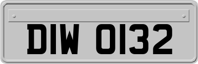 DIW0132