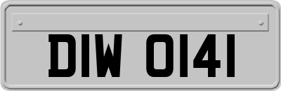 DIW0141