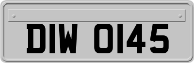 DIW0145