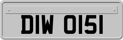 DIW0151