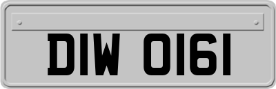 DIW0161