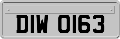 DIW0163
