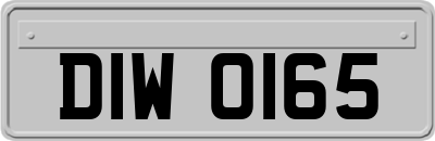 DIW0165