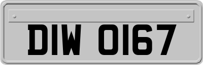 DIW0167