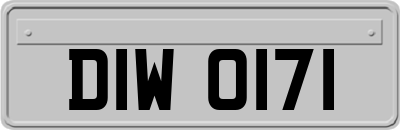 DIW0171