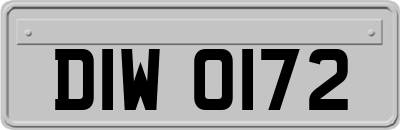 DIW0172