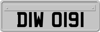 DIW0191