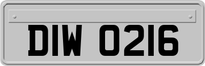 DIW0216