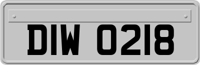 DIW0218